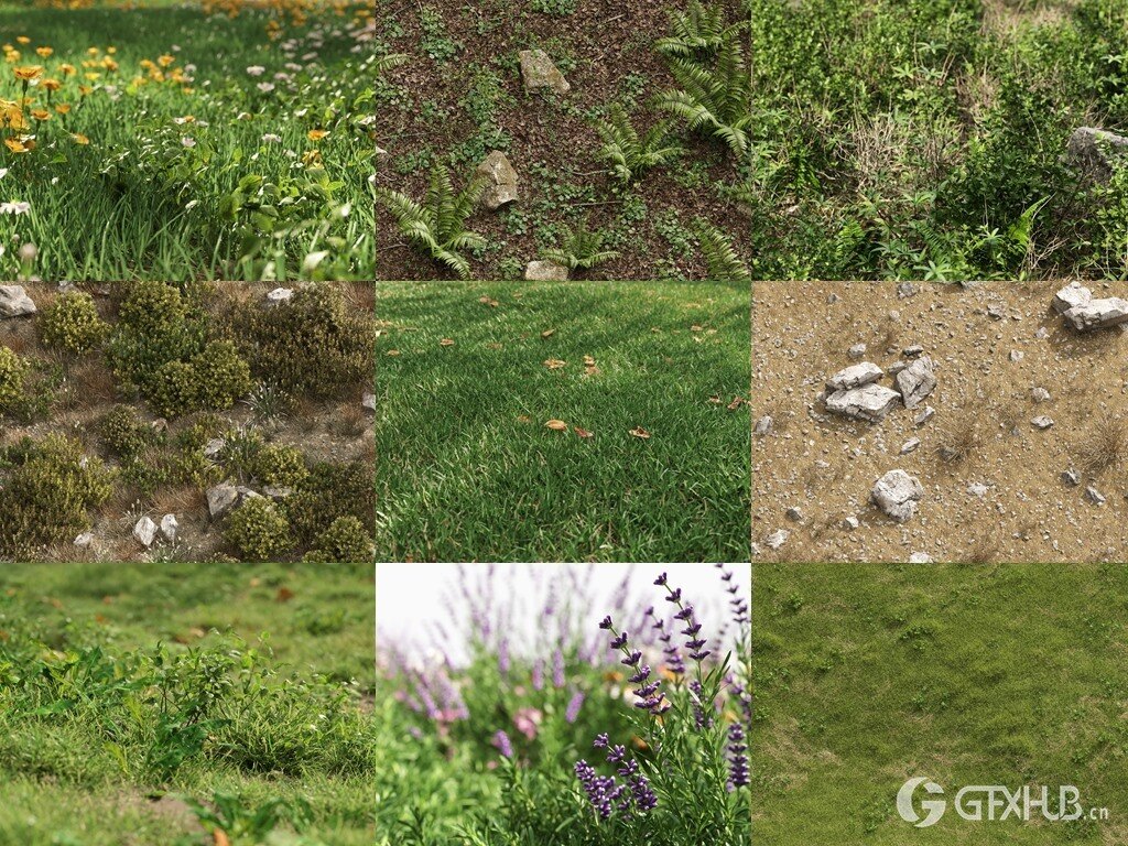 3Ds Max草地植物3D模型 NM-Lab System for 3ds Max GR01-10