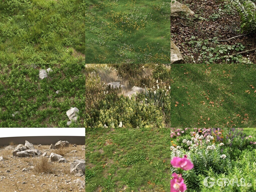 3Ds Max草地植物3D模型 NM-Lab System for 3ds Max GR01-10
