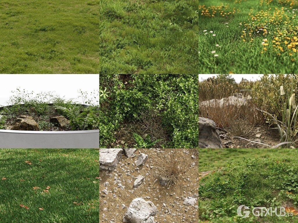 3Ds Max草地植物3D模型 NM-Lab System for 3ds Max GR01-10
