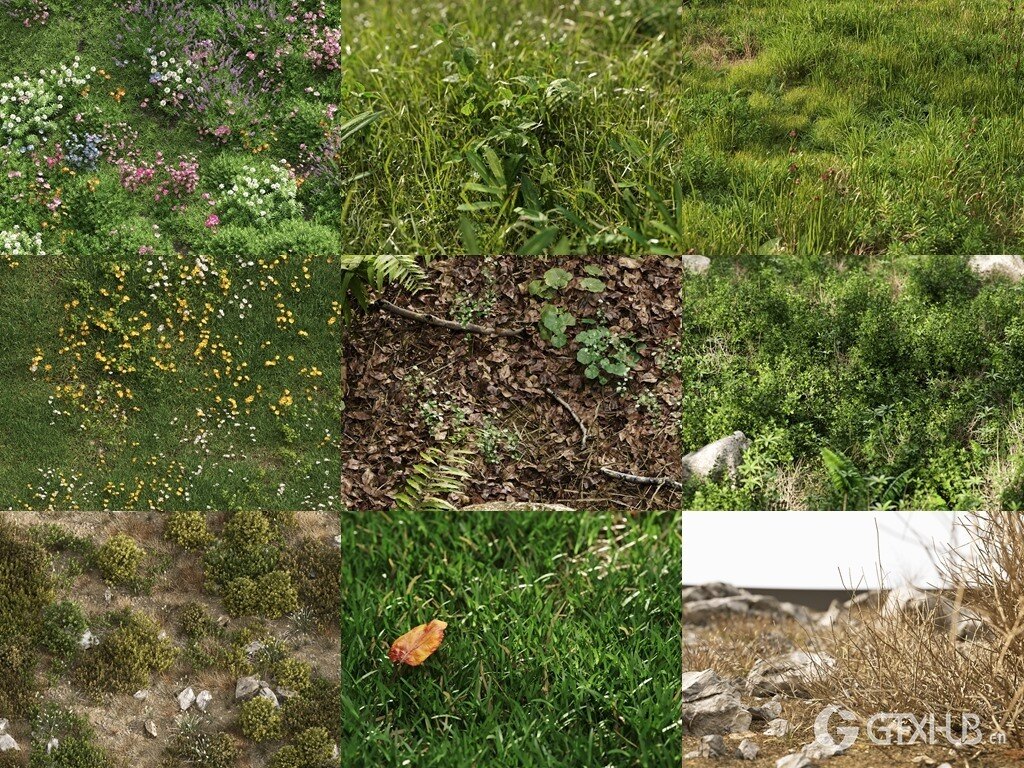 3Ds Max草地植物3D模型 NM-Lab System for 3ds Max GR01-10