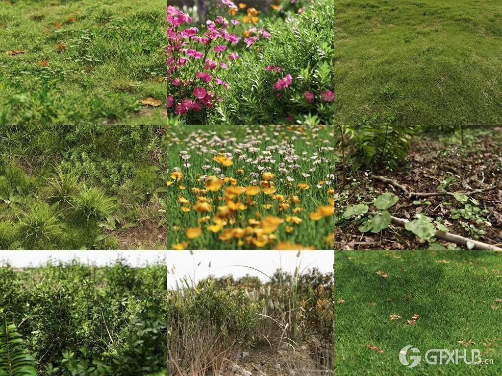 3Ds Max草地植物3D模型 NM-Lab System for 3ds Max GR01-10