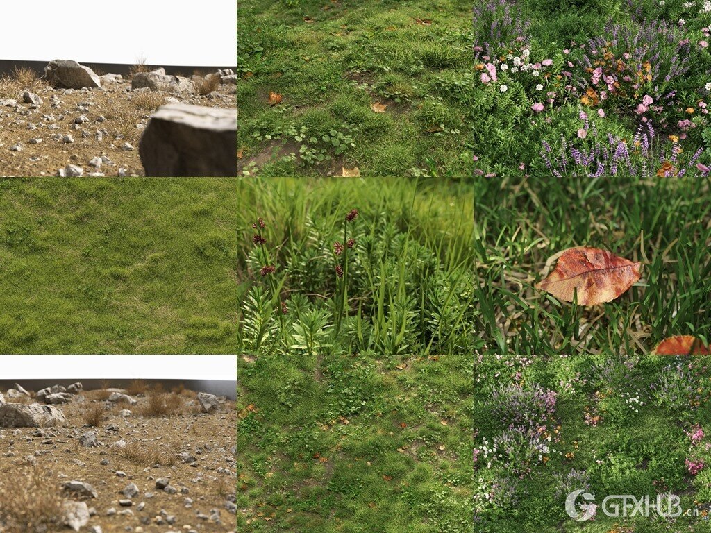 3Ds Max草地植物3D模型 NM-Lab System for 3ds Max GR01-10