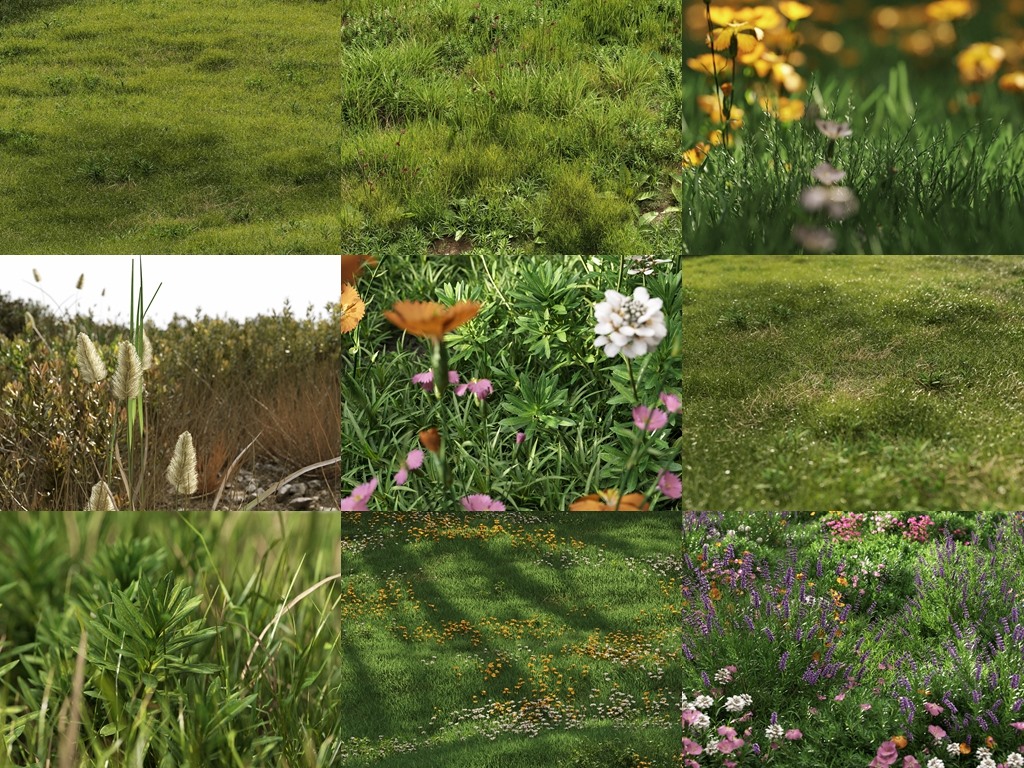 3Ds Max草地植物3D模型 NM-Lab System for 3ds Max GR01-10