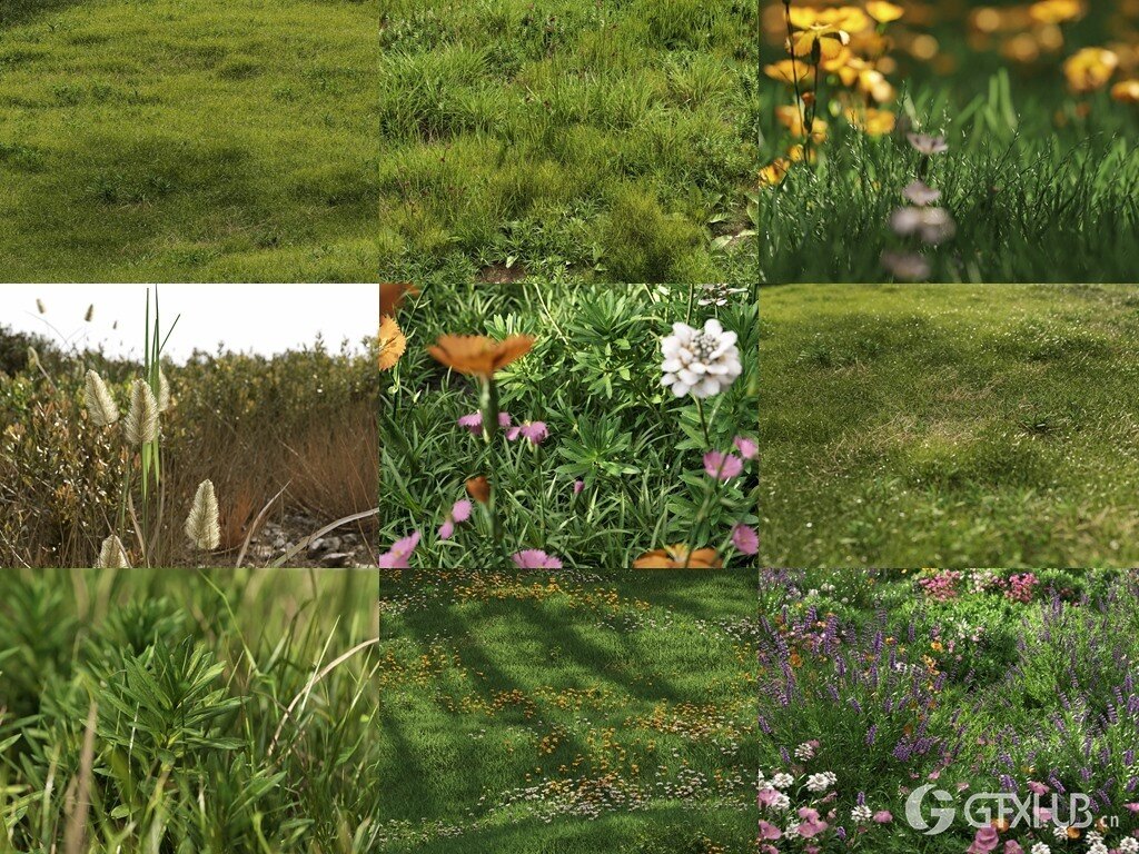 3Ds Max草地植物3D模型 NM-Lab System for 3ds Max GR01-10