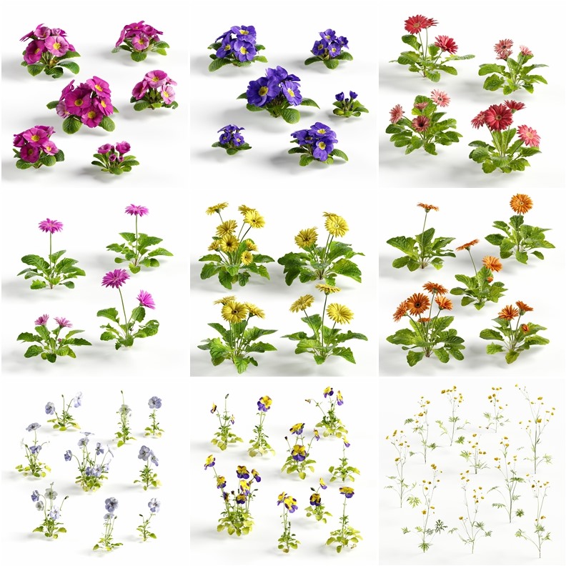 16套北半球低聚小植物和花卉3D模型 Evermotion – Archmodels vol. 252