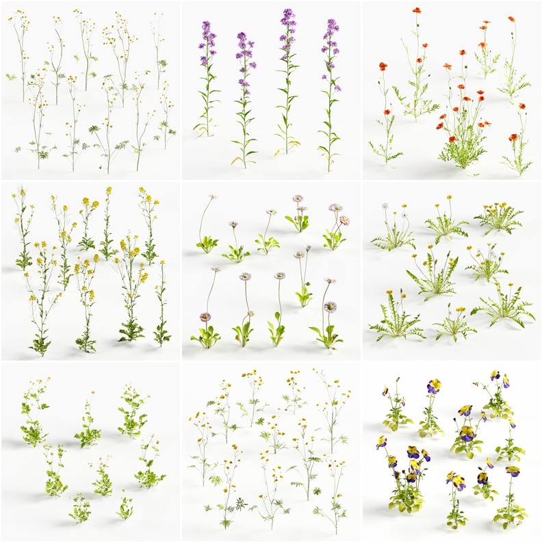 16套北半球低聚小植物和花卉3D模型 Evermotion – Archmodels vol. 252