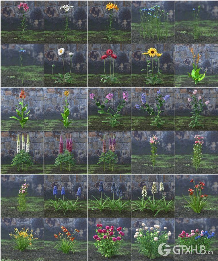60个专业高品质花园花卉3D模型 Evermotion - Archmodels Vol.214