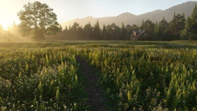 14个专业的高质量低聚植物3D模型 Evermotion – Archmodels vol. 226