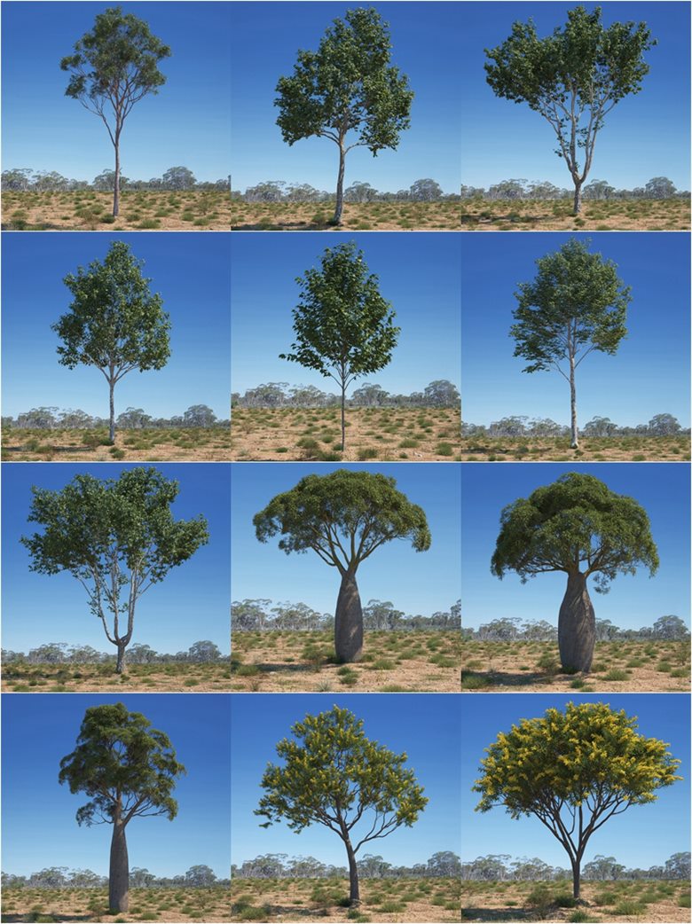 44组高精度澳大利亚和大洋洲生物群落典型的树木3D模型 Evermotion – Archmodels vol. 238