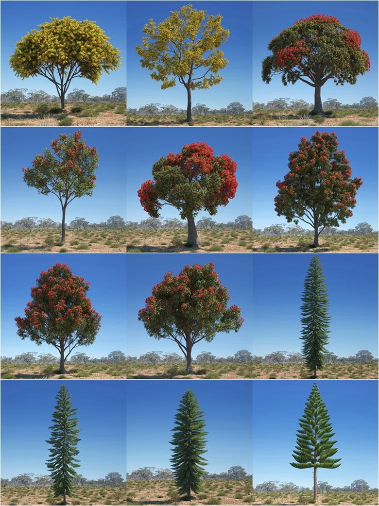 44组高精度澳大利亚和大洋洲生物群落典型的树木3D模型 Evermotion – Archmodels vol. 238
