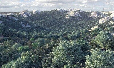 80个高质量的低多边形3d树模型 Evermotion – Archmodels Vol.113