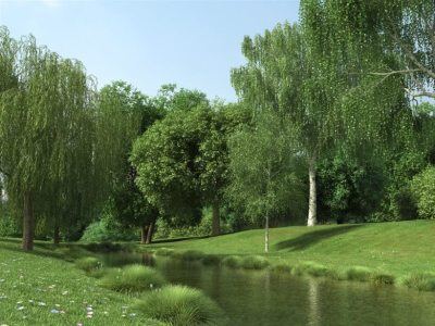 50种高度详细树木3D模型 Evermotion – Archmodels Vol.106