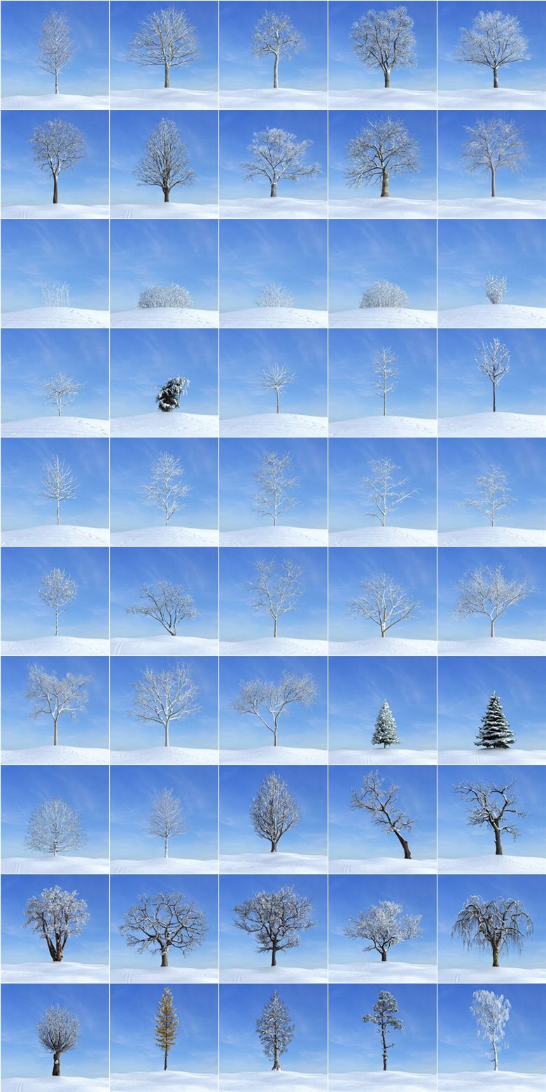 100个秋天和冬天树木高度详细3D模型 Evermotion – Archmodels Vol.100