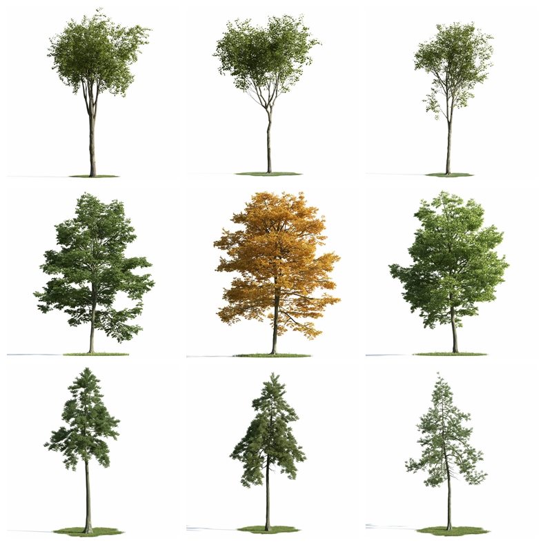 54个专业高品质树木3D模型 Evermotion - Archmodels Vol.163