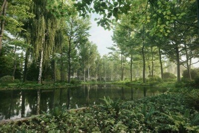 54 个专业高品质树木3D模型 Evermotion – Archmodels Vol.176