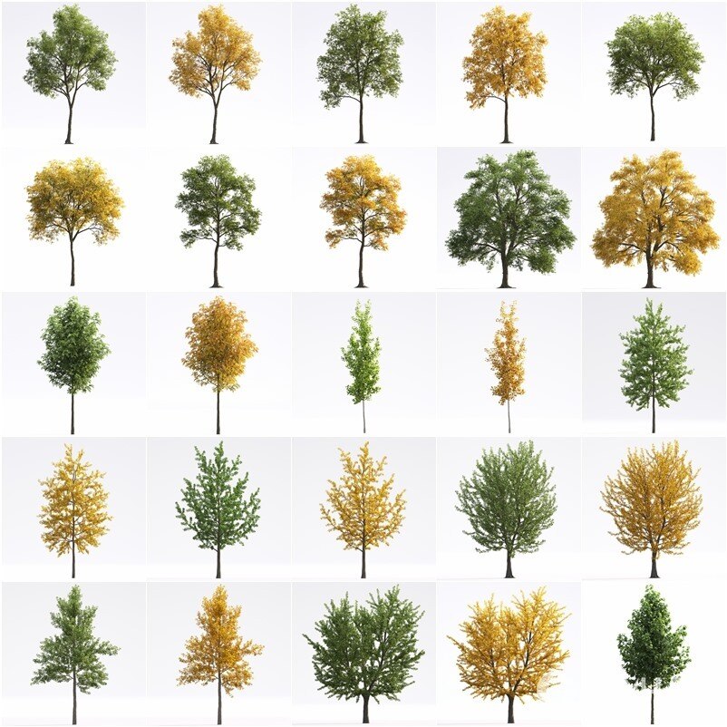 72个温带气候植物夏季和秋季乔木3D 模型 Evermotion – Archmodels vol. 250