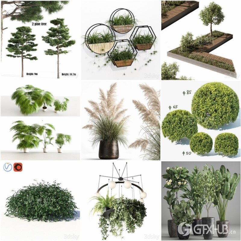 100套植物树木盆栽3D模型合集 3DSky Pro 100 Plants 3D Models Collection