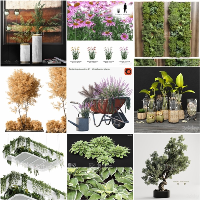 100套植物树木盆栽3D模型合集 3DSky Pro 100 Plants 3D Models Collection