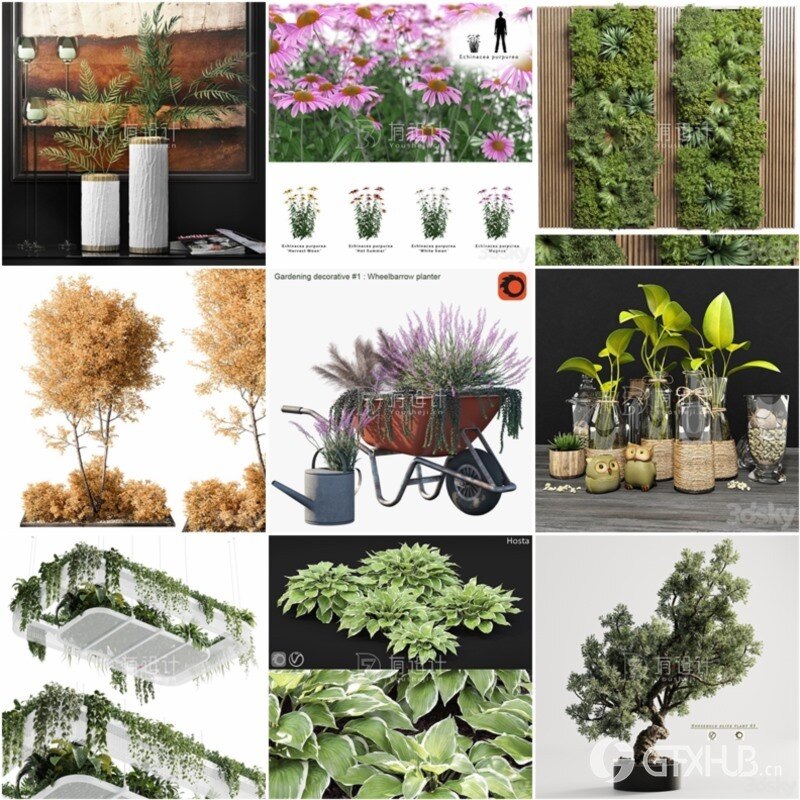 100套植物树木盆栽3D模型合集 3DSky Pro 100 Plants 3D Models Collection
