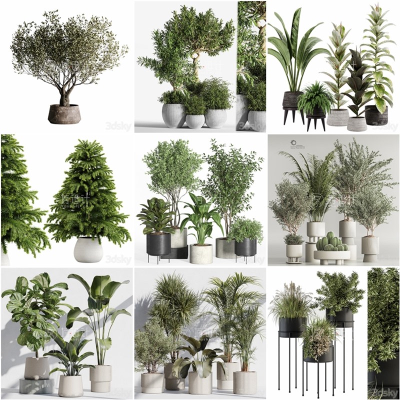 100套植物树木盆栽3D模型合集 3DSky Pro 100 Plants 3D Models Collection
