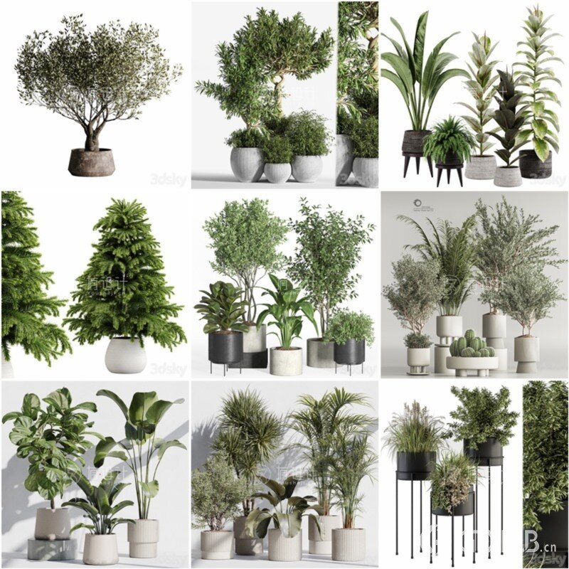 100套植物树木盆栽3D模型合集 3DSky Pro 100 Plants 3D Models Collection