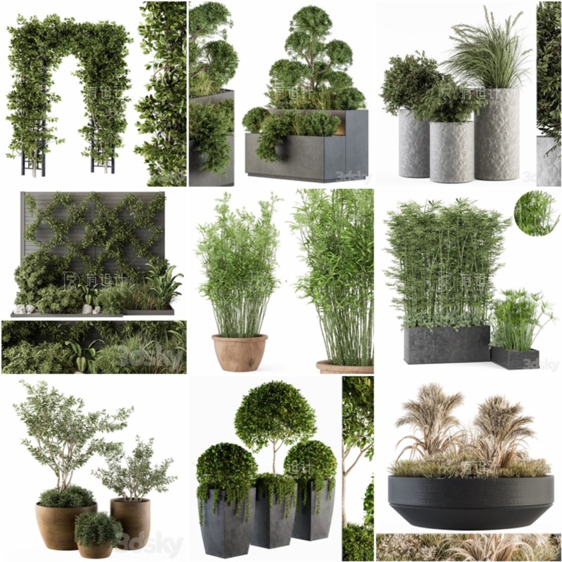 100套植物树木盆栽3D模型合集 3DSky Pro 100 Plants 3D Models Collection