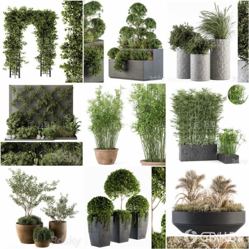 100套植物树木盆栽3D模型合集 3DSky Pro 100 Plants 3D Models Collection