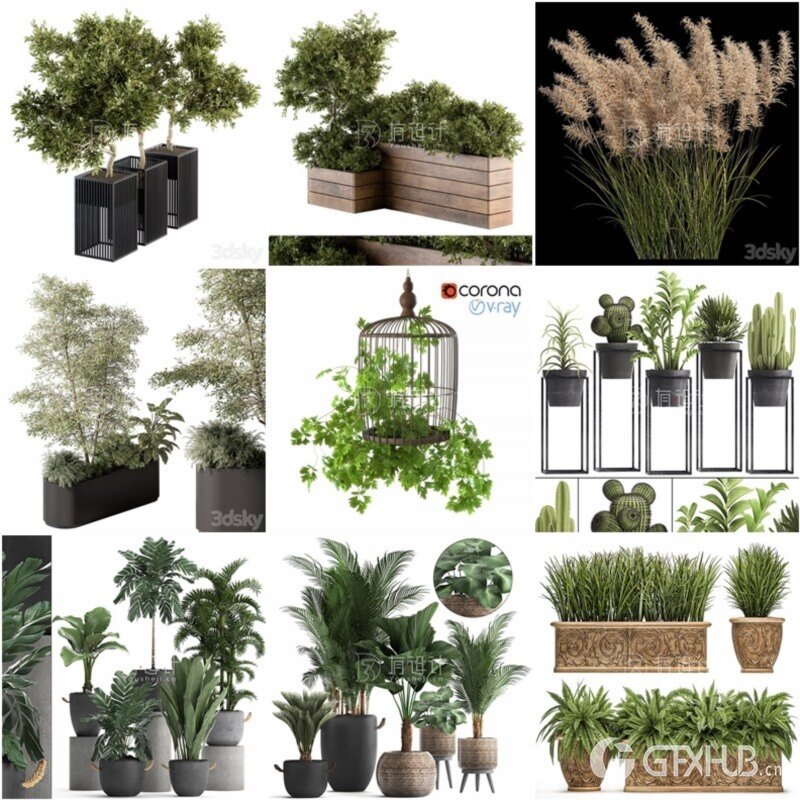 100套植物树木盆栽3D模型合集 3DSky Pro 100 Plants 3D Models Collection