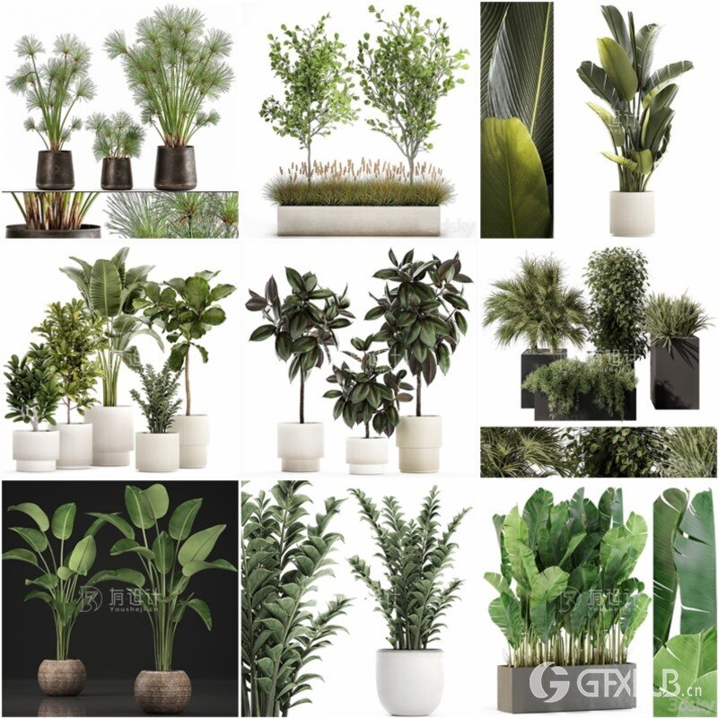 100套植物树木盆栽3D模型合集 3DSky Pro 100 Plants 3D Models Collection