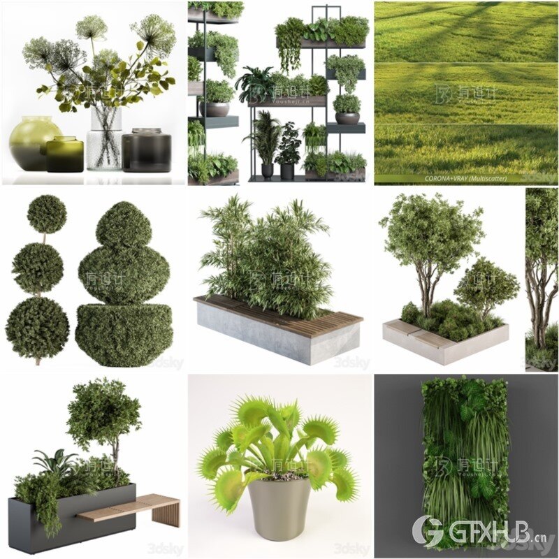 100套植物树木盆栽3D模型合集 3DSky Pro 100 Plants 3D Models Collection