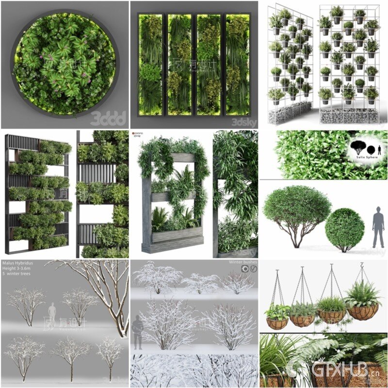 100套植物树木盆栽3D模型合集 3DSky Pro 100 Plants 3D Models Collection