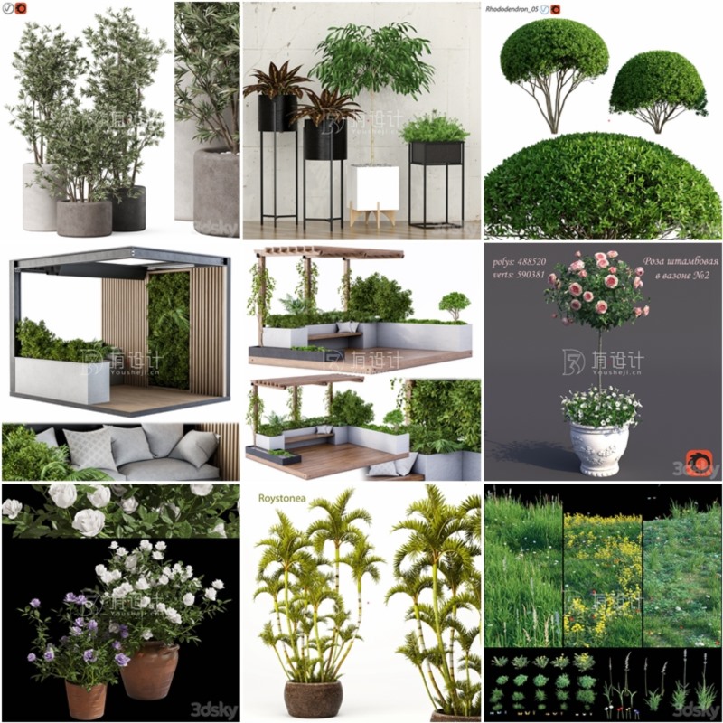 100套植物树木盆栽3D模型合集 3DSky Pro 100 Plants 3D Models Collection