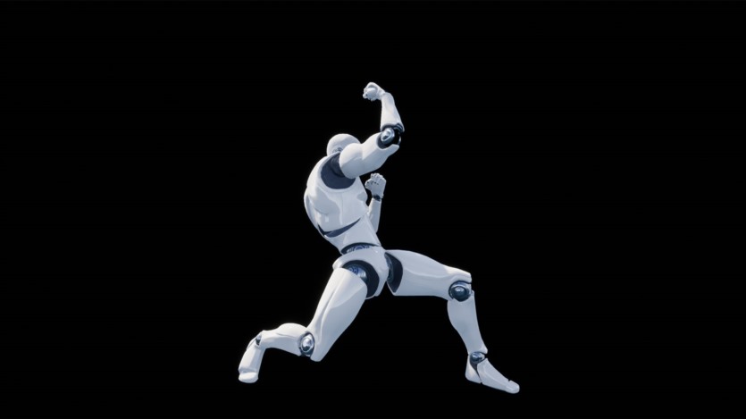 UE虚幻引擎 武术格斗游戏资产 Martial Arts Fight Game