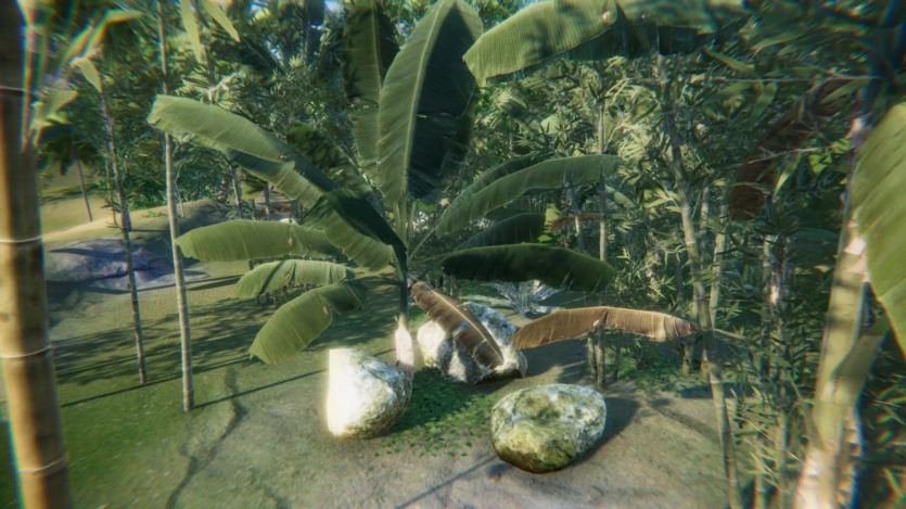 Unity热带东南亚雨林/丛林包 Tropical South-East Asia Rainforest Jungle Pack 1.0