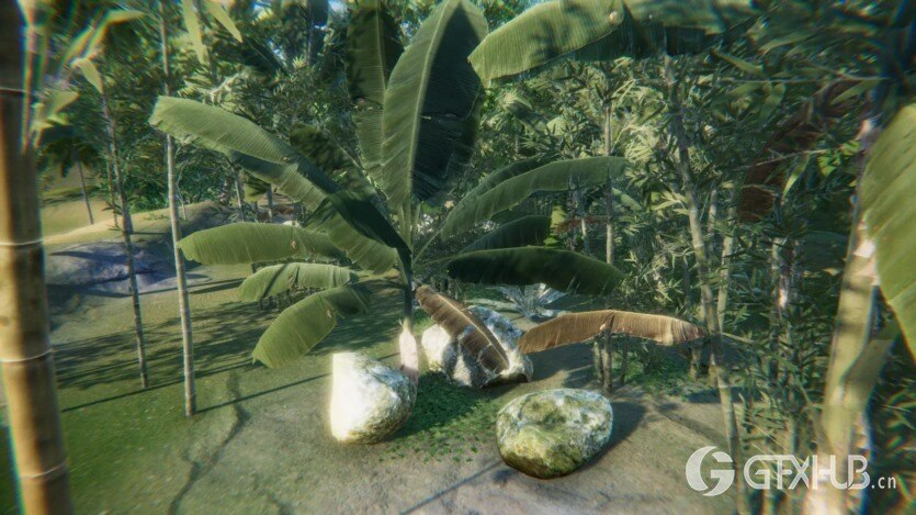 Unity热带东南亚雨林/丛林包 Tropical South-East Asia Rainforest Jungle Pack 1.0