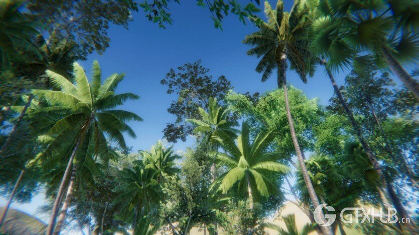 Unity热带东南亚雨林/丛林包 Tropical South-East Asia Rainforest Jungle Pack 1.0