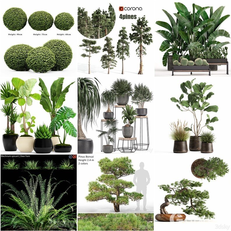 83套植物树木盆栽3D模型合集 3DSky Pro 83 Plants 3D Models Collection