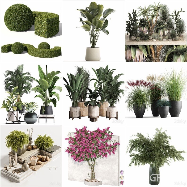 83套植物树木盆栽3D模型合集 3DSky Pro 83 Plants 3D Models Collection