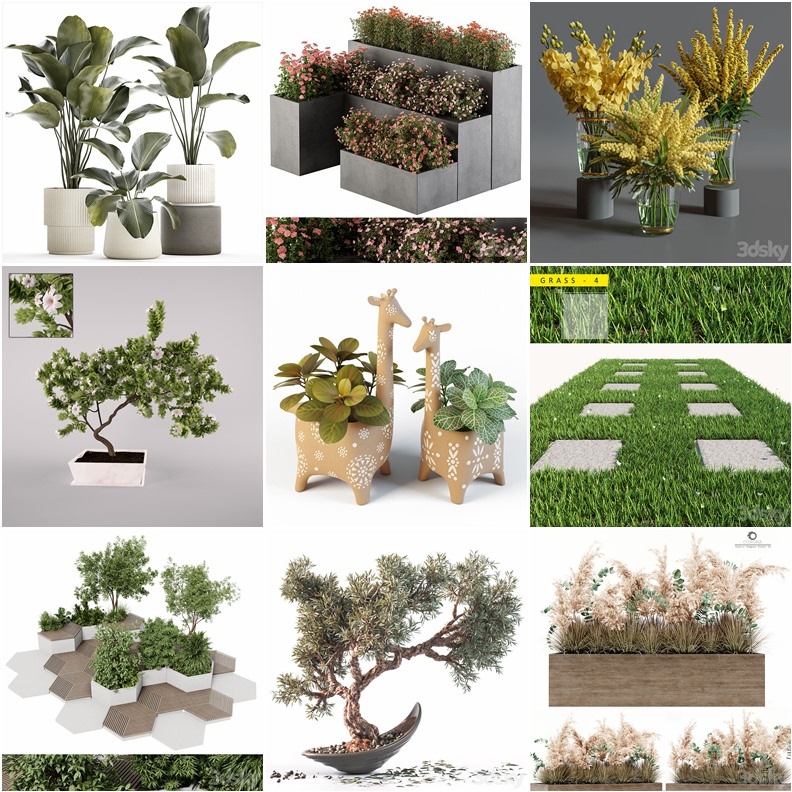 83套植物树木盆栽3D模型合集 3DSky Pro 83 Plants 3D Models Collection