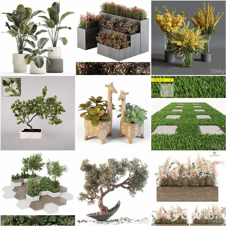 83套植物树木盆栽3D模型合集 3DSky Pro 83 Plants 3D Models Collection