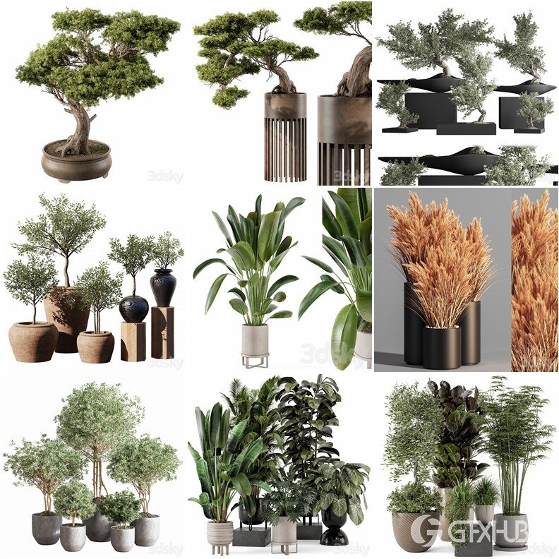 83套植物树木盆栽3D模型合集 3DSky Pro 83 Plants 3D Models Collection