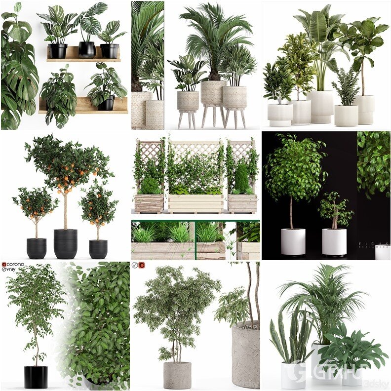 83套植物树木盆栽3D模型合集 3DSky Pro 83 Plants 3D Models Collection