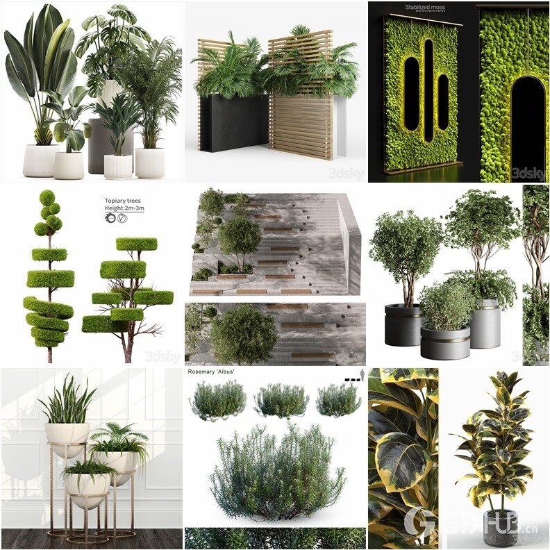 83套植物树木盆栽3D模型合集 3DSky Pro 83 Plants 3D Models Collection