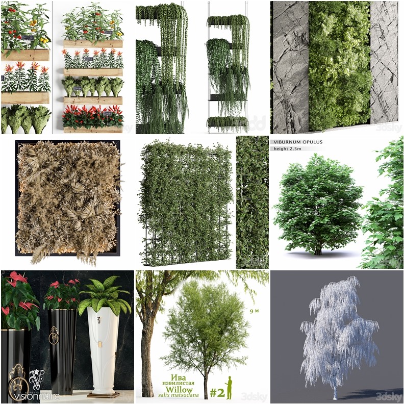 83套植物树木盆栽3D模型合集 3DSky Pro 83 Plants 3D Models Collection