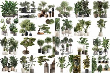 83套植物树木盆栽3D模型合集 3DSky Pro 83 Plants 3D Models Collection
