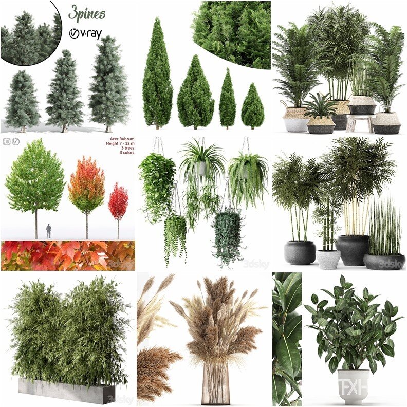 97套植物树木盆栽3D模型合集 3DSky Pro 97 Plants 3D Models Collection