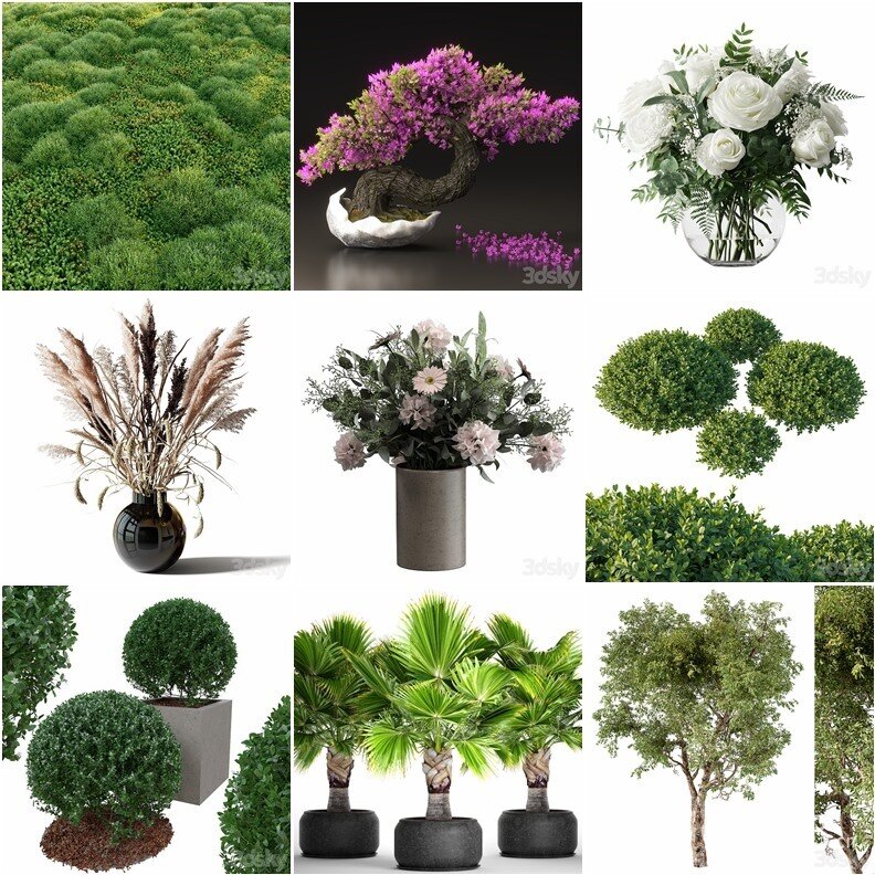 97套植物树木盆栽3D模型合集 3DSky Pro 97 Plants 3D Models Collection