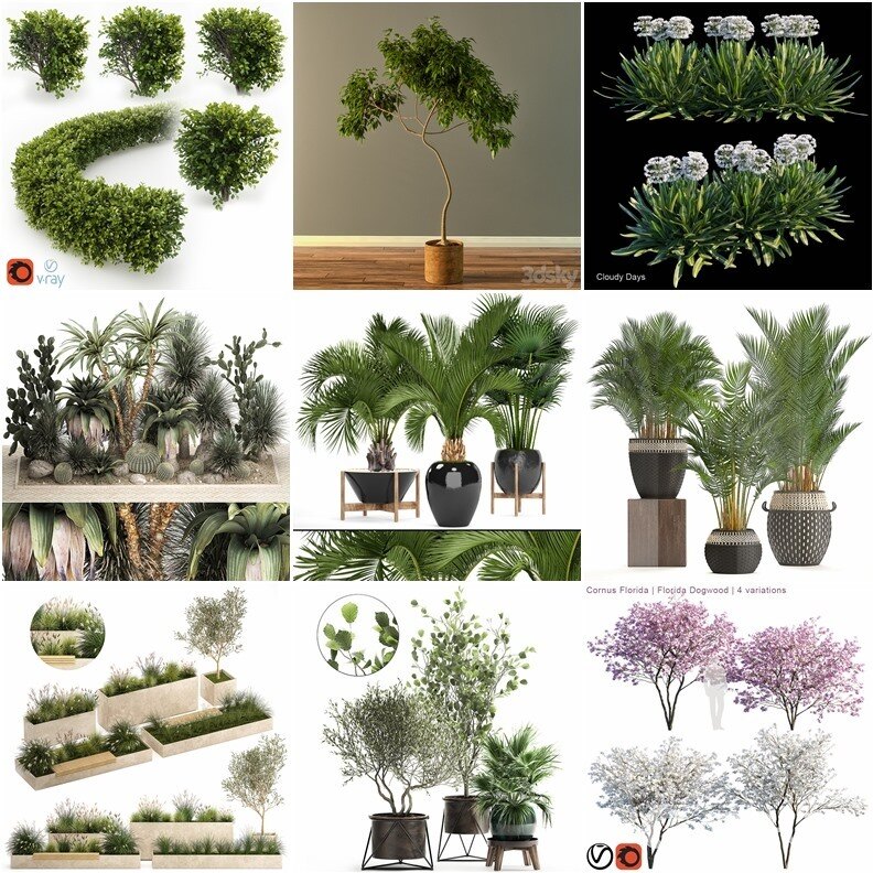 97套植物树木盆栽3D模型合集 3DSky Pro 97 Plants 3D Models Collection