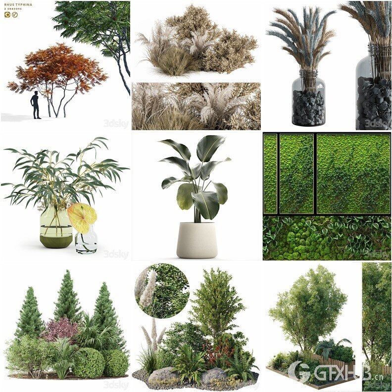 97套植物树木盆栽3D模型合集 3DSky Pro 97 Plants 3D Models Collection