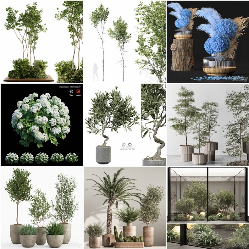 97套植物树木盆栽3D模型合集 3DSky Pro 97 Plants 3D Models Collection